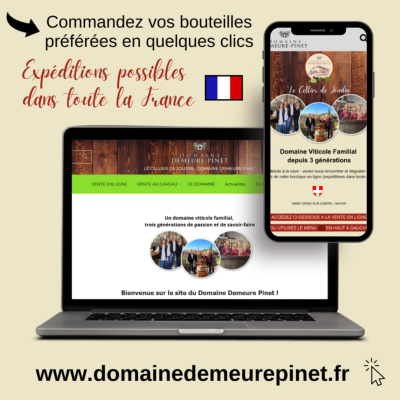 Boutique en ligne